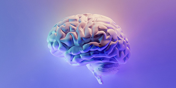 A digital brain